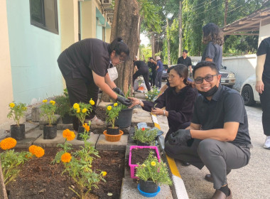 “ปลูกพืชผักสวนครัว” ภายใต้โครงการส่งเสริมองค์กรคุณธรรม ... พารามิเตอร์รูปภาพ 7